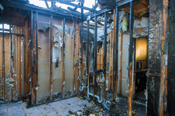 Professional Fire Damage Assessment technician working in Woodmere, LA